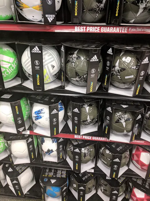 DICK'S Sporting Goods Picture 2
