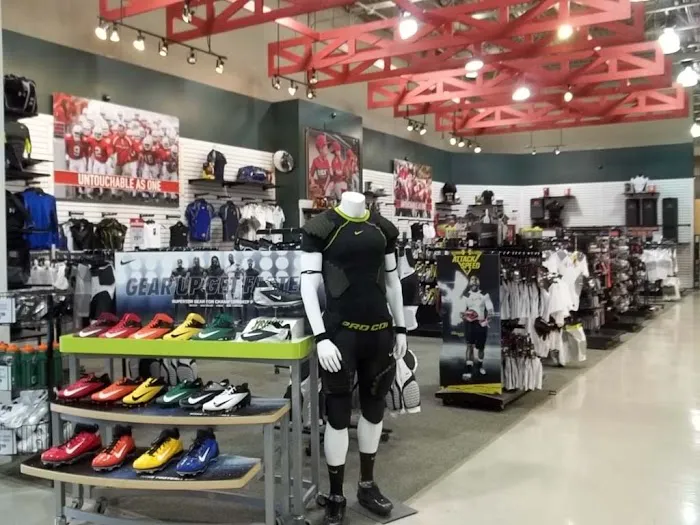 DICK'S Sporting Goods Picture 5