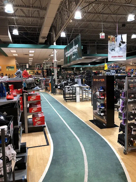 DICK'S Sporting Goods Picture 10