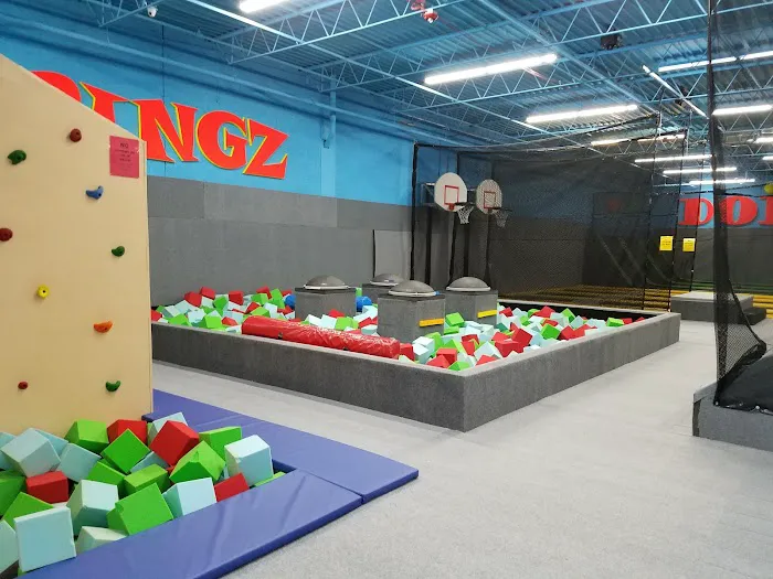 Zap Zone Picture 8