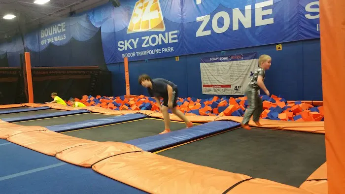 Sky Zone Shelby Township Picture 1