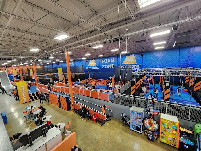 Sky Zone Shelby Township Picture 2