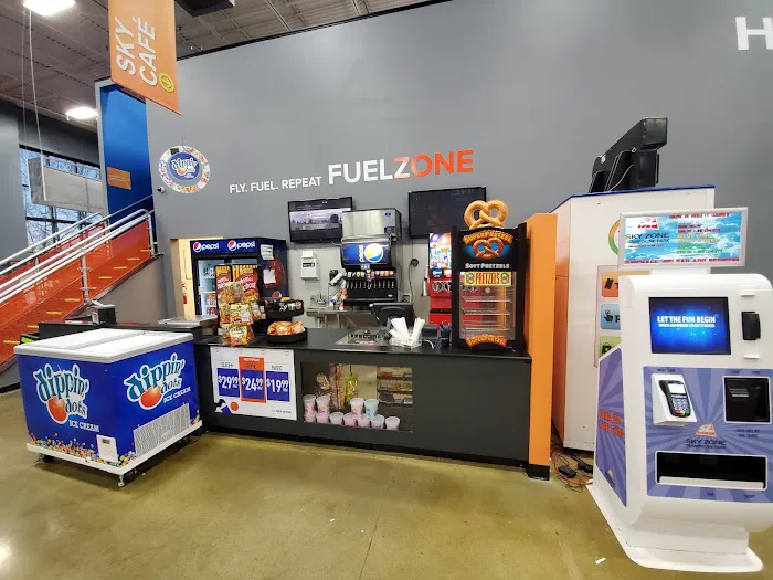Sky Zone Shelby Township Picture 3