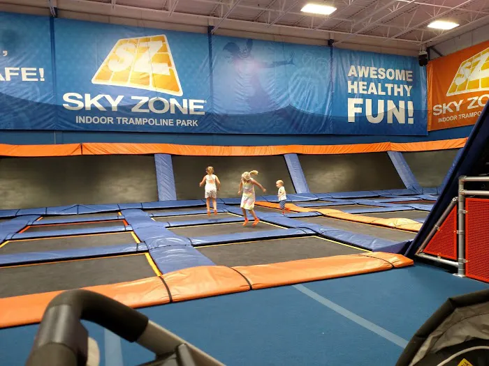 Sky Zone Shelby Township Picture 8