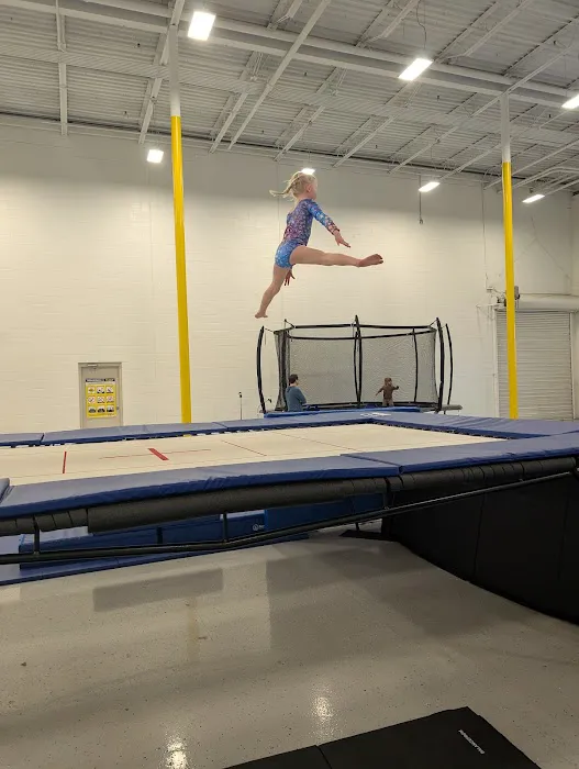Motor City Gymnastics Picture 1