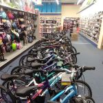 Dunham's Sports