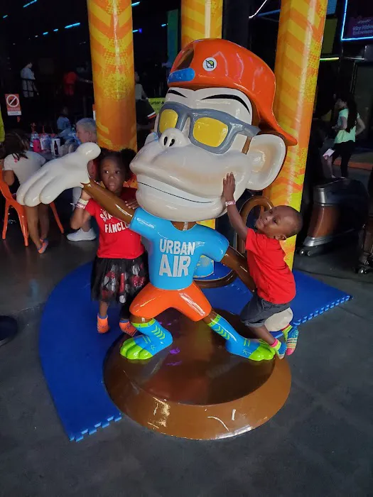 Urban Air Trampoline and Adventure Park Picture 10