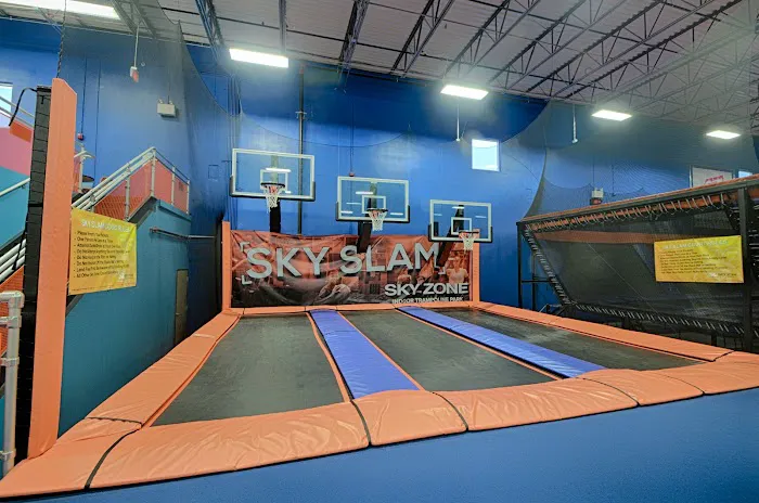 Sky Zone Trampoline Park Picture 10