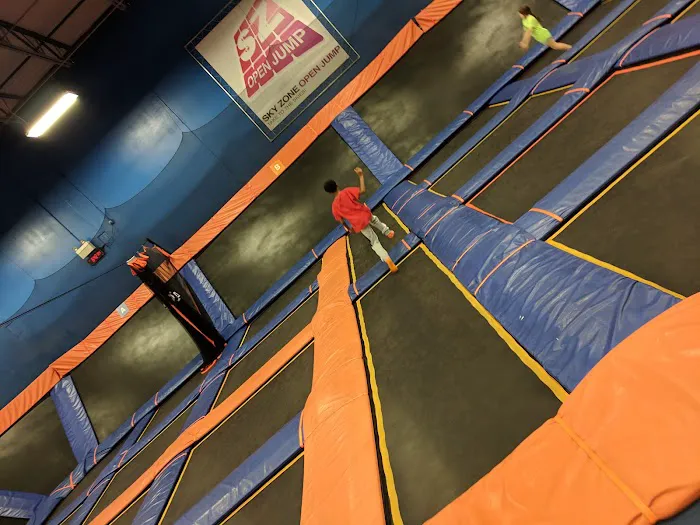Sky Zone Trampoline Park Picture 4