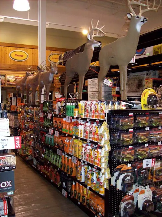 DICK'S Sporting Goods Picture 2