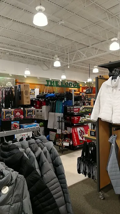 DICK'S Sporting Goods Picture 5