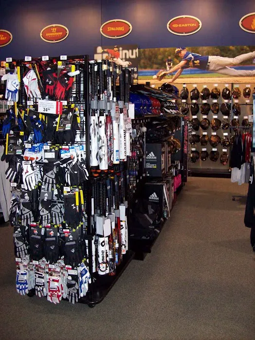 DICK'S Sporting Goods Picture 3