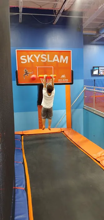 Sky Zone Trampoline Park Picture 7