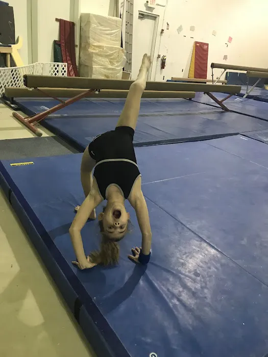 GymQuest Picture 10