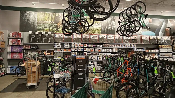 DICK'S Sporting Goods Picture 8