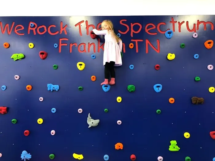 We Rock the Spectrum Kid's Gym - Franklin, TN Picture 5