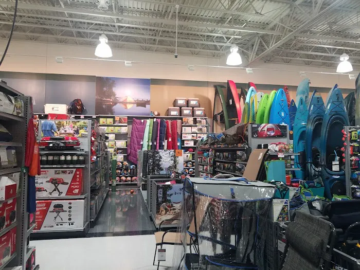 DICK'S Sporting Goods Picture 9