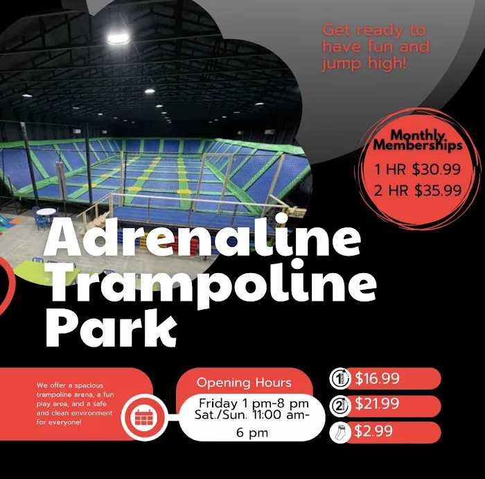Adrenaline Trampoline Park Picture 1