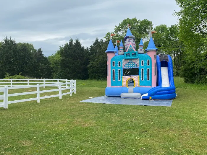Happy jump Nashville Picture 5
