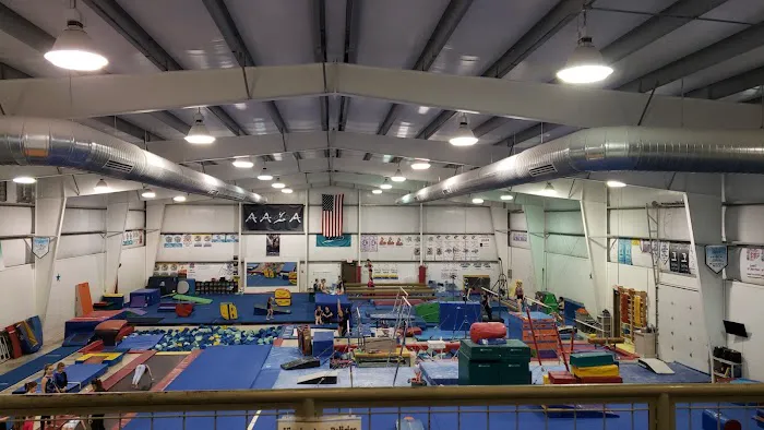 All Around Gymnastics Picture 1