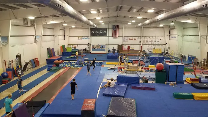 All Around Gymnastics Picture 2