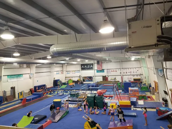 All Around Gymnastics Picture 3