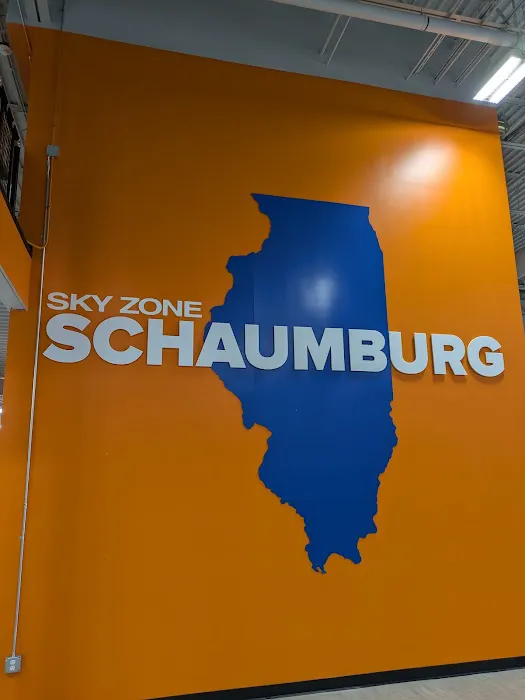 Sky Zone Trampoline Park Picture 1