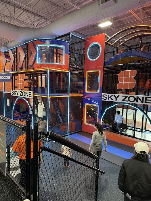 Sky Zone Trampoline Park Picture 6