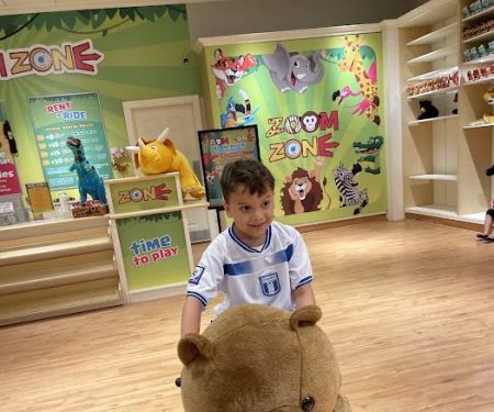 Zoom Zone Kids Animal Amusement Rides