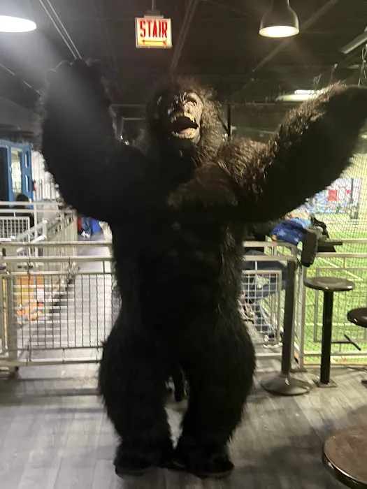 Adrenaline Monkey Adventure Park Picture 9
