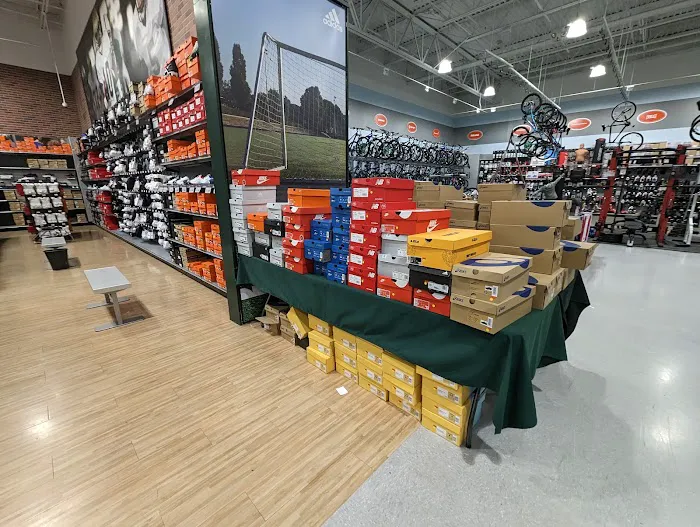 DICK'S Sporting Goods Picture 7