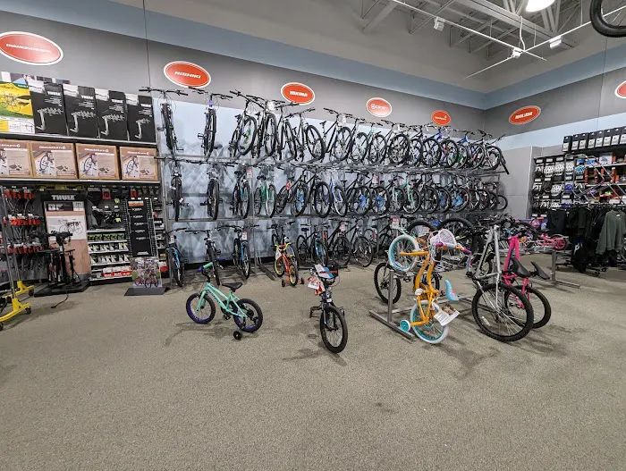 DICK'S Sporting Goods Picture 5