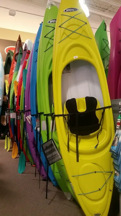 DICK'S Sporting Goods Picture 2