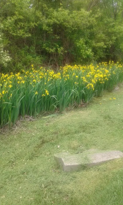Altizer Park Picture 7