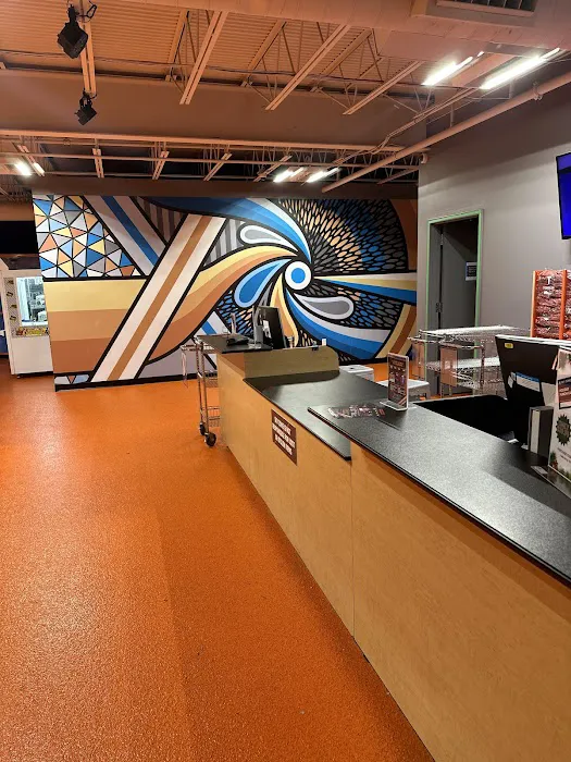 Sky Zone Picture 1