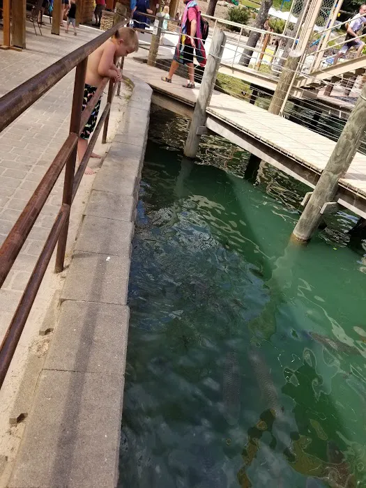 Ace Adventure Water Park Picture 3
