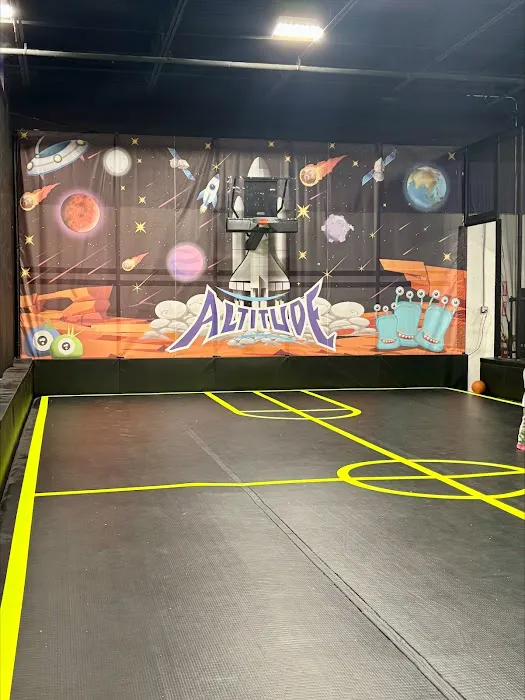 Altitude Trampoline Park Huntsville Picture 10