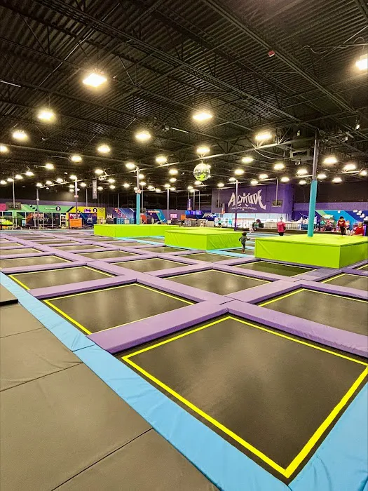Altitude Trampoline Park Huntsville Picture 8