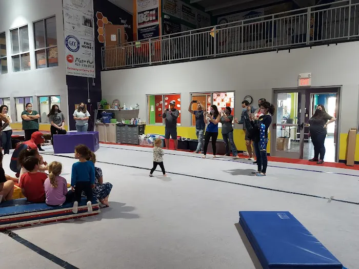 Gymnastics Center Of Chattanooga Picture 2