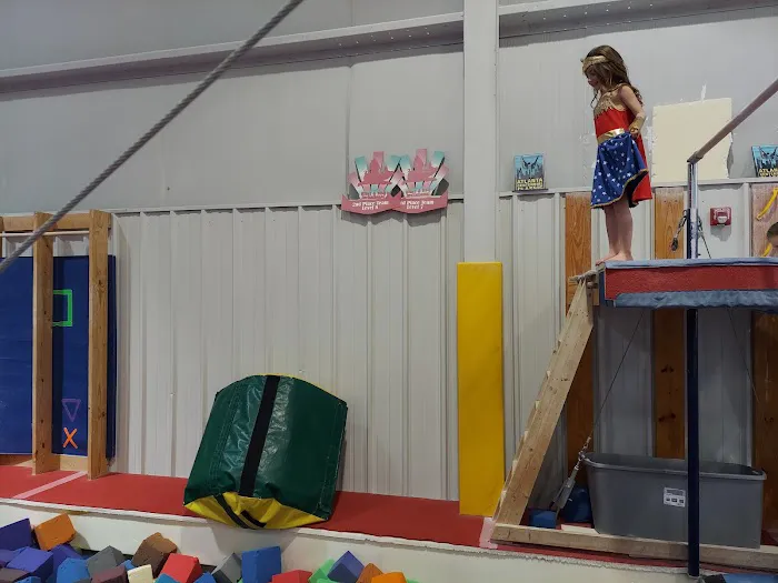 Gymnastics Center Of Chattanooga Picture 9
