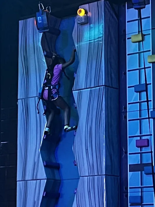 Urban Air Trampoline and Adventure Park Picture 2