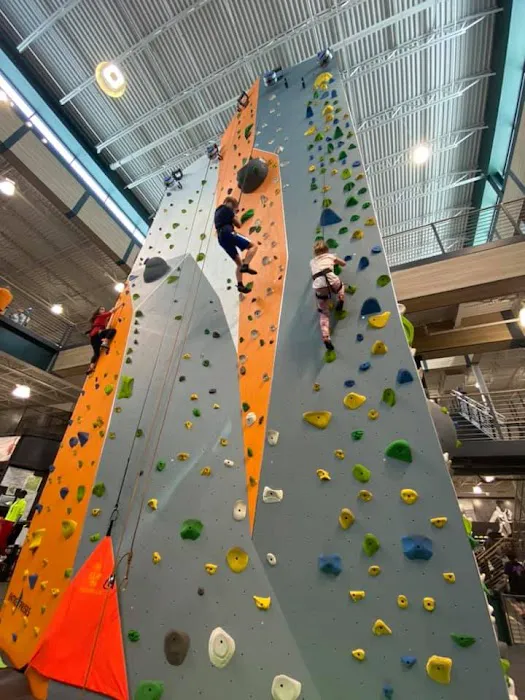DICK'S House of Sport Picture 8