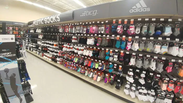 Academy Sports + Outdoors Picture 6