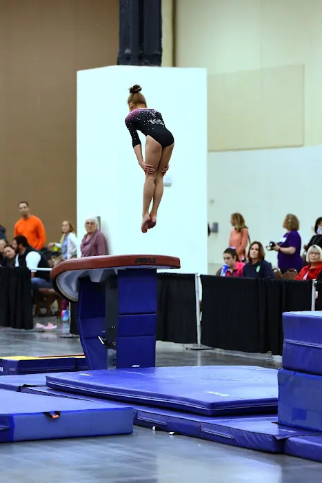 Tennessee Elite Gymnastics Picture 9
