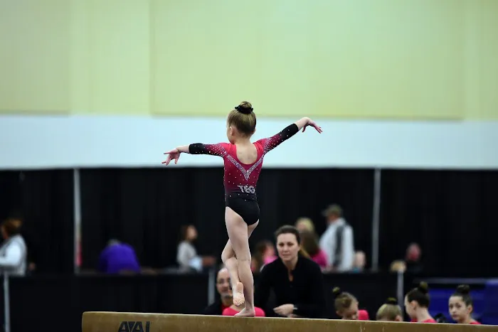 Tennessee Elite Gymnastics Picture 1
