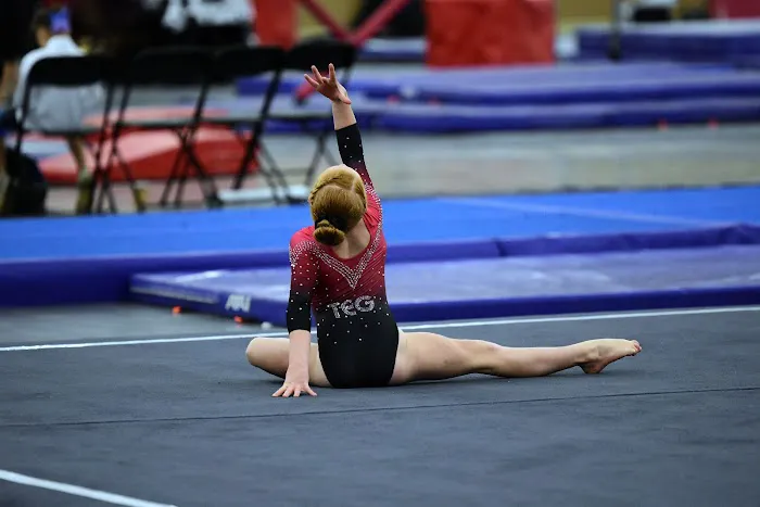 Tennessee Elite Gymnastics Picture 2