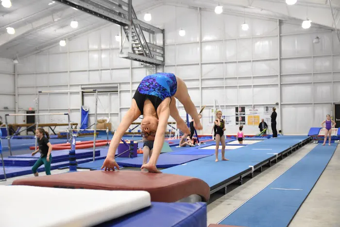 Tennessee Elite Gymnastics Picture 7