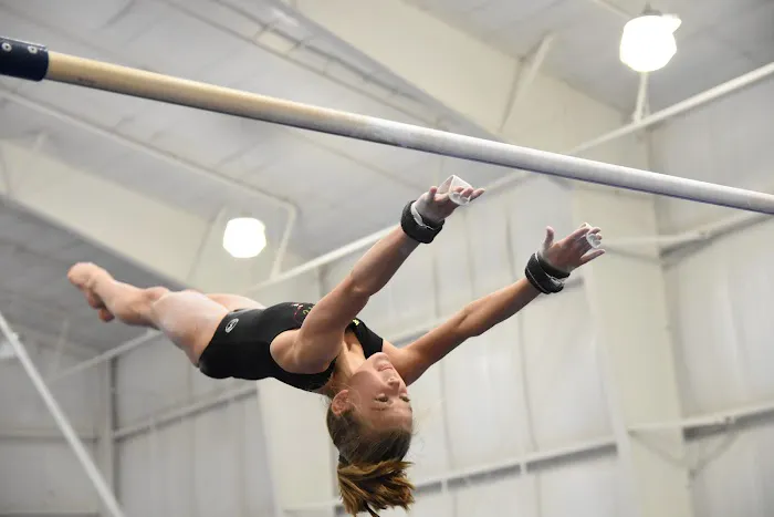 Tennessee Elite Gymnastics Picture 5
