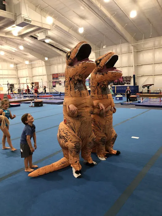 Tennessee Elite Gymnastics Picture 3