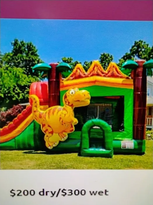 Aerojump INC. Picture 8